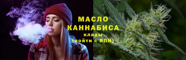 ECSTASY Богородицк